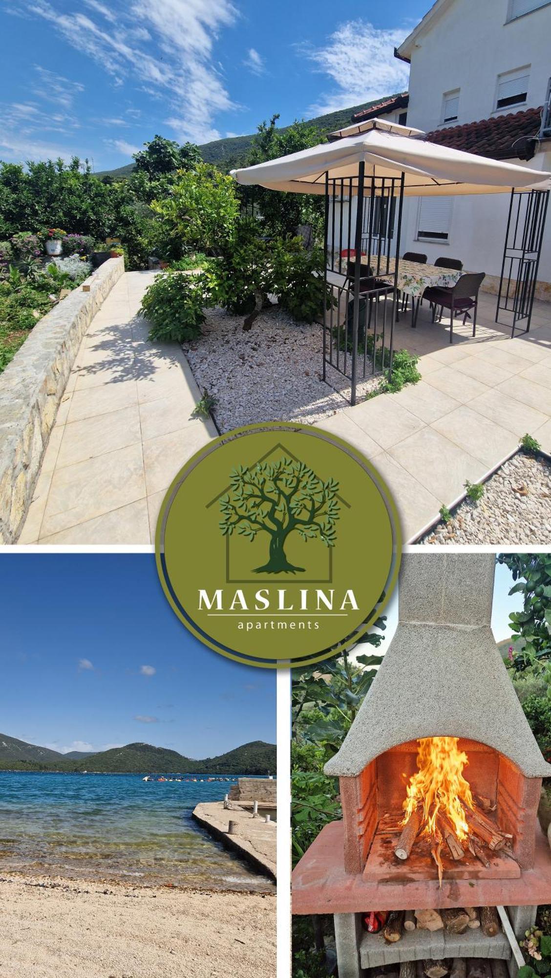 Apartments Maslina ストン エクステリア 写真